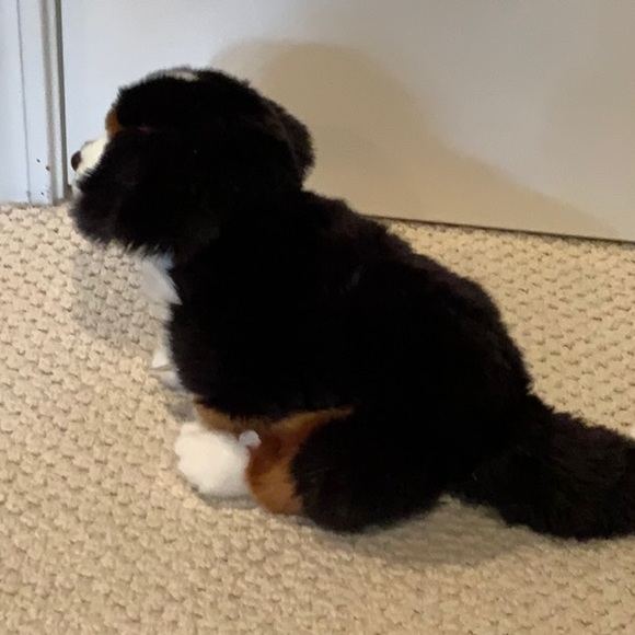 Webkinz Signature Bernese Mountain Dog - Picture 6 of 6